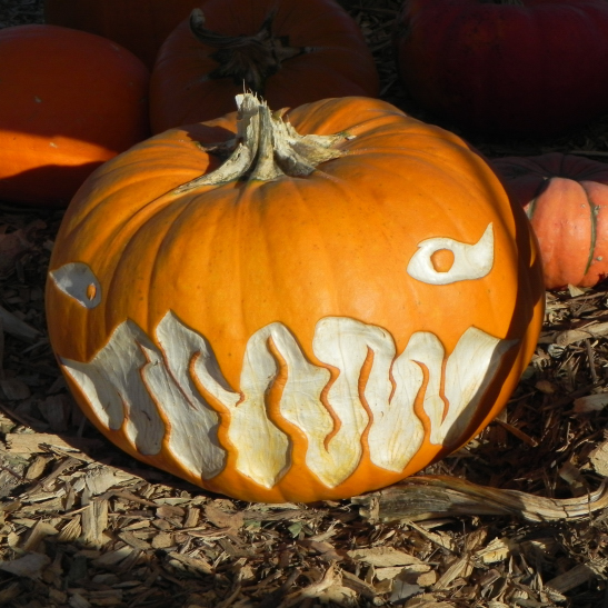 Fire Mouth, Nipomo Pumpkin Patch best carving idea